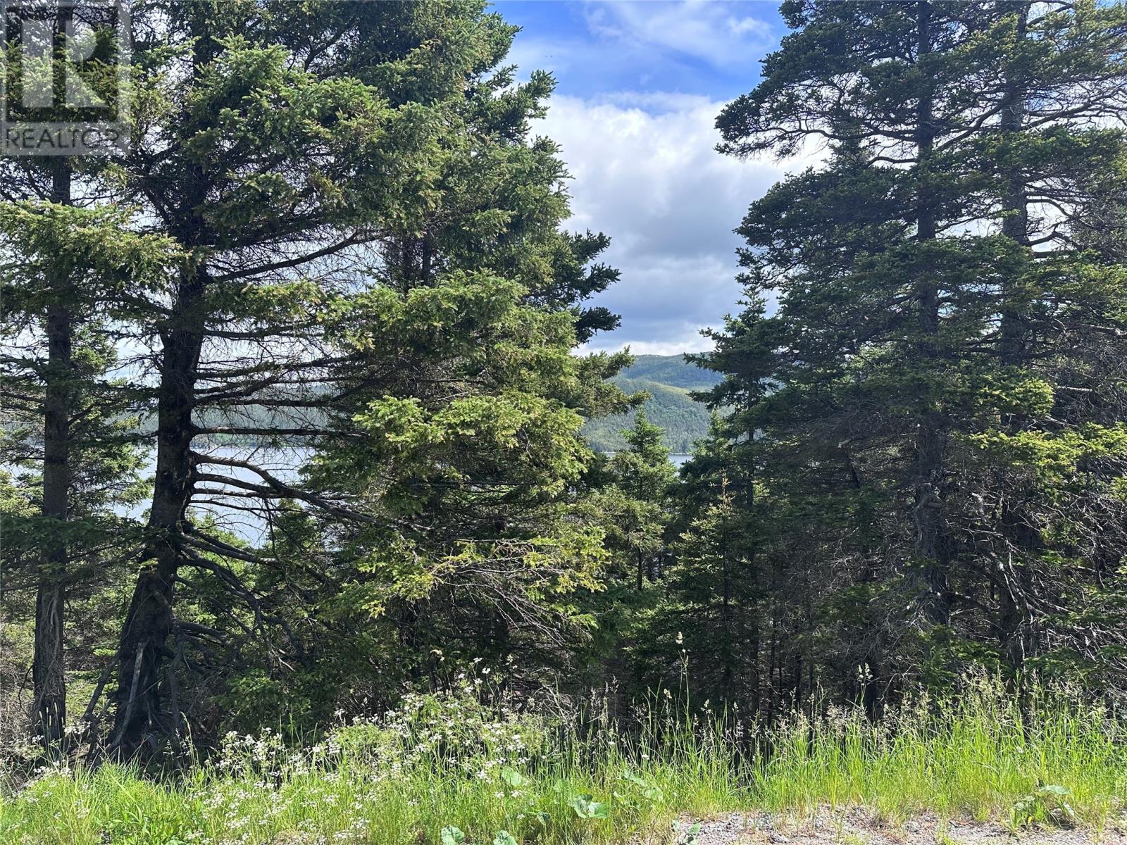186 Tablelands Drive, Shoal Brook, Newfoundland & Labrador  A0K 1K0 - Photo 2 - 1284944