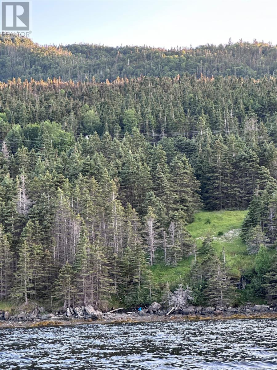 186 Tablelands Drive, Shoal Brook, Newfoundland & Labrador  A0K 1K0 - Photo 4 - 1284944
