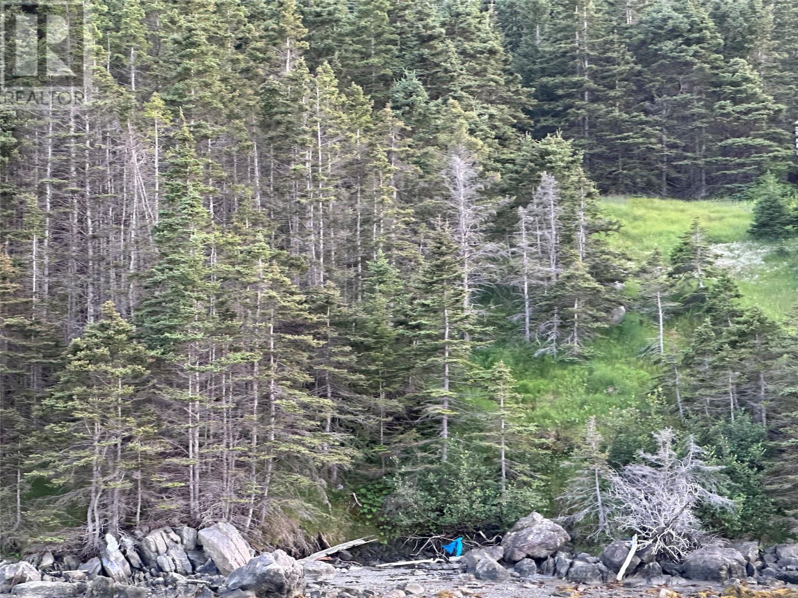 186 Tablelands Drive, Shoal Brook, Newfoundland & Labrador  A0K 1K0 - Photo 5 - 1284944