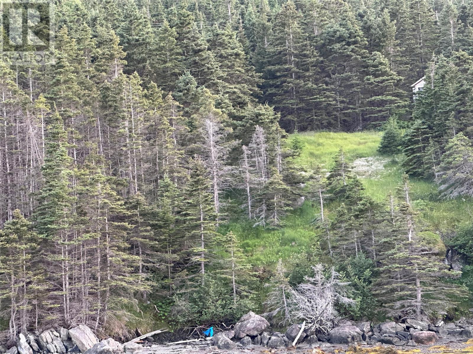 186 Tablelands Drive, Shoal Brook, Newfoundland & Labrador  A0K 1K0 - Photo 6 - 1284944