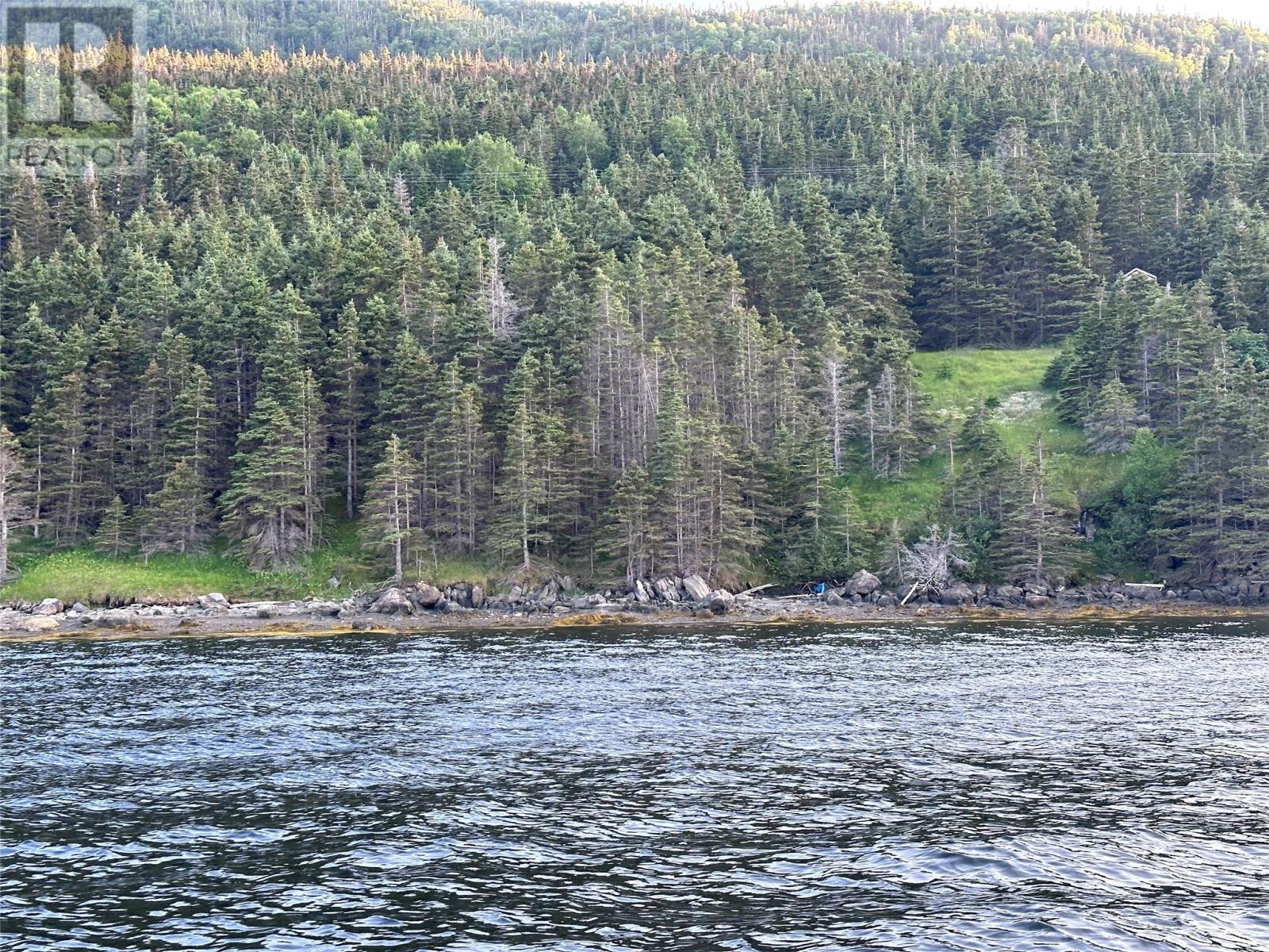 186 Tablelands Drive, Shoal Brook, Newfoundland & Labrador  A0K 1K0 - Photo 7 - 1284944