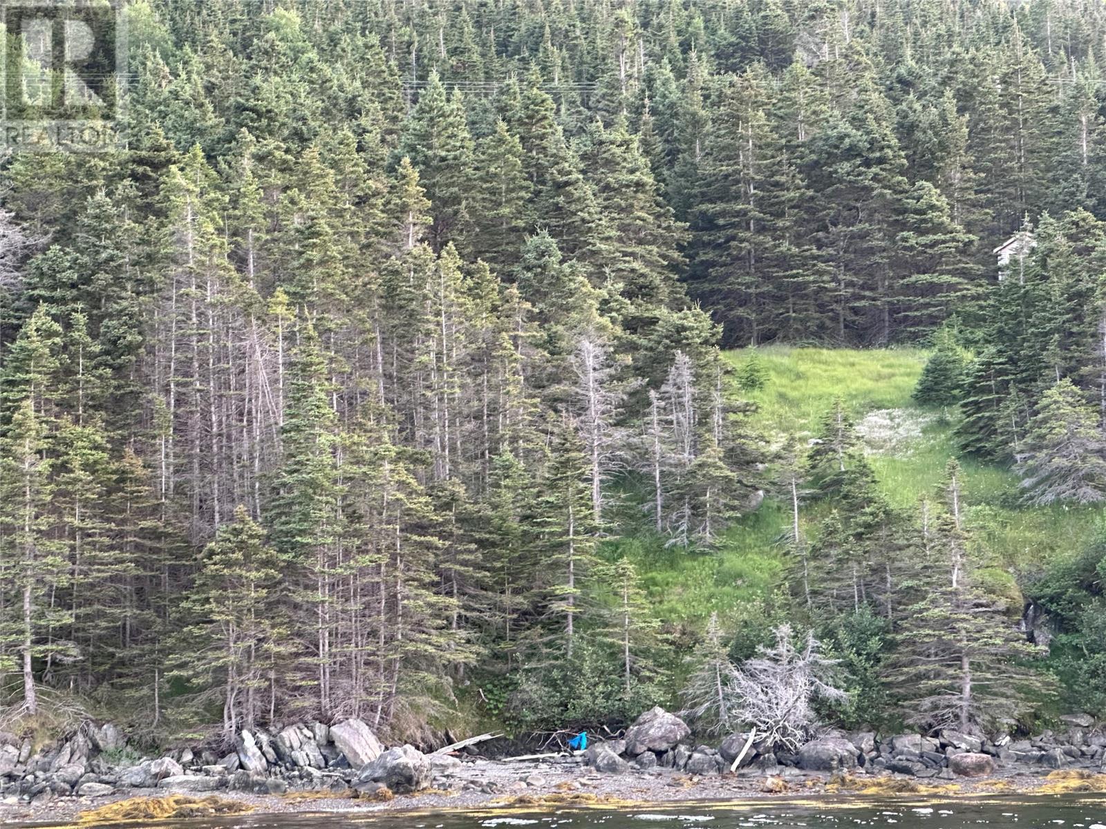 186 Tablelands Drive, Shoal Brook, Newfoundland & Labrador  A0K 1K0 - Photo 8 - 1284944