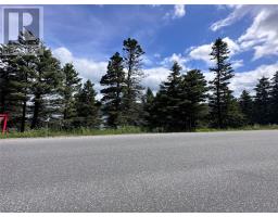 186 Tablelands Drive, Shoal Brook, Newfoundland & Labrador