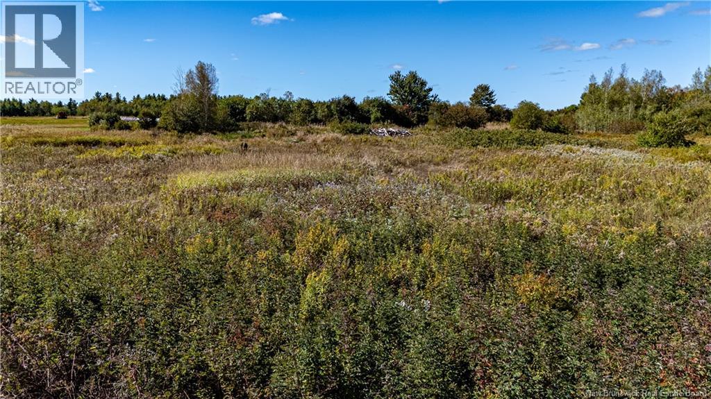 Lot Route 515, Saint-Paul, New Brunswick  E4T 3P4 - Photo 4 - NB126174