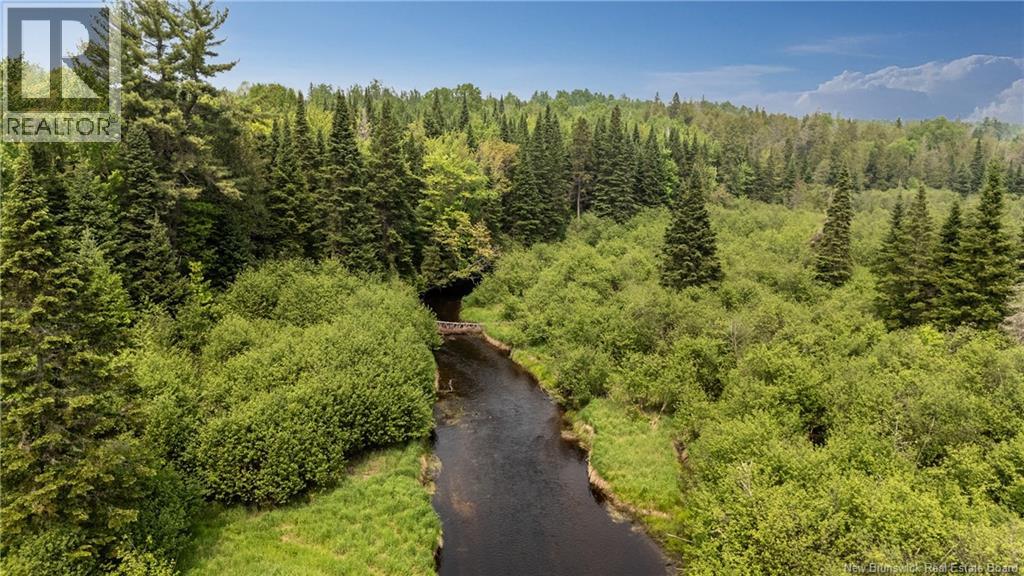 58 Buba's Lane, Cains River, New Brunswick  E9B 0A2 - Photo 8 - NB126774