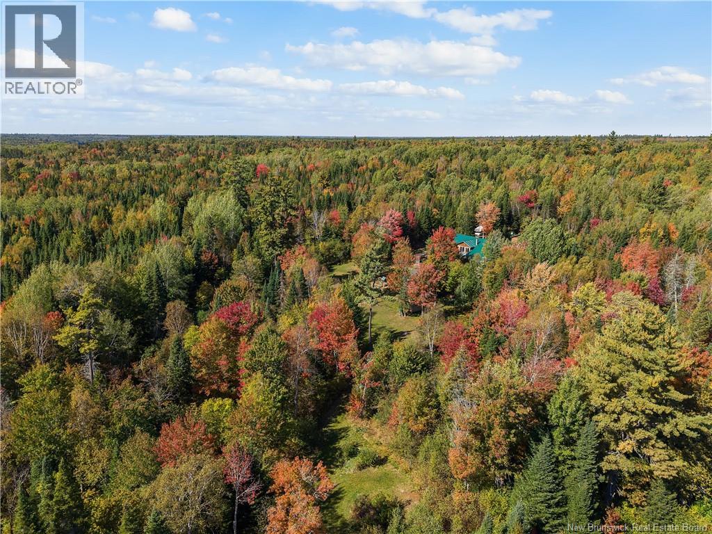 58 Buba's Lane, Cains River, New Brunswick  E9B 0A2 - Photo 43 - NB126774