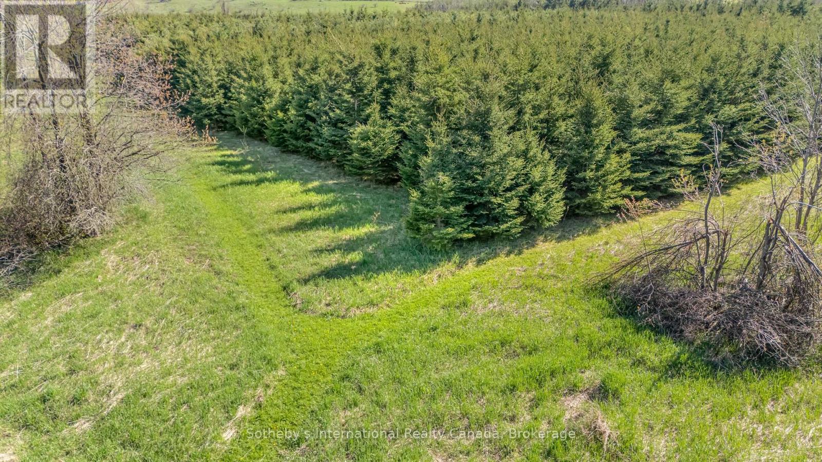 717218 1st Line E, Mulmur, Ontario  L9V 0G2 - Photo 38 - X12143504