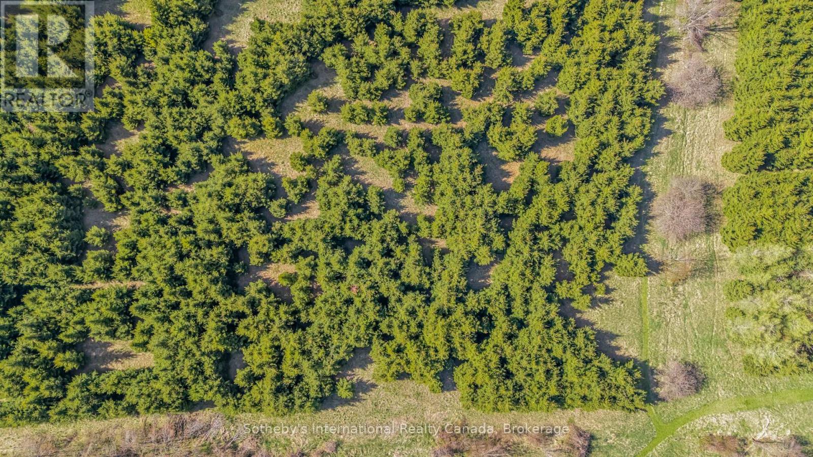 717218 1st Line E, Mulmur, Ontario  L9V 0G2 - Photo 45 - X12143504