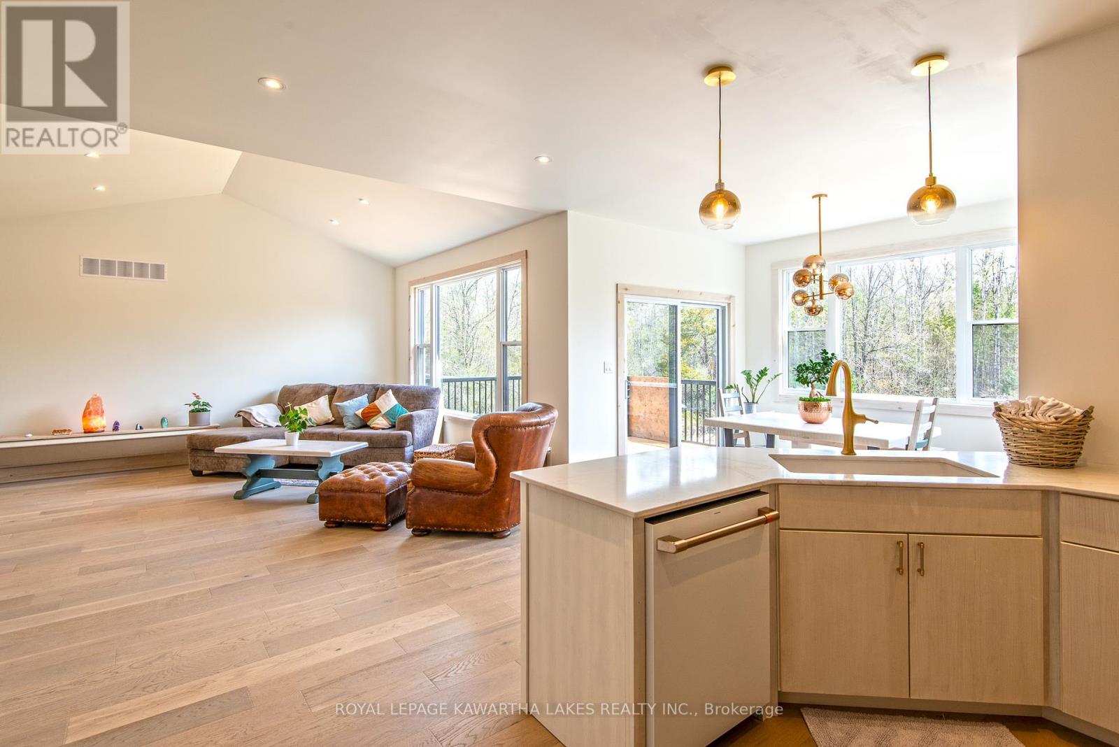 104 Moon Line Road N, Trent Lakes, Ontario  K0M 1A0 - Photo 6 - X12405822