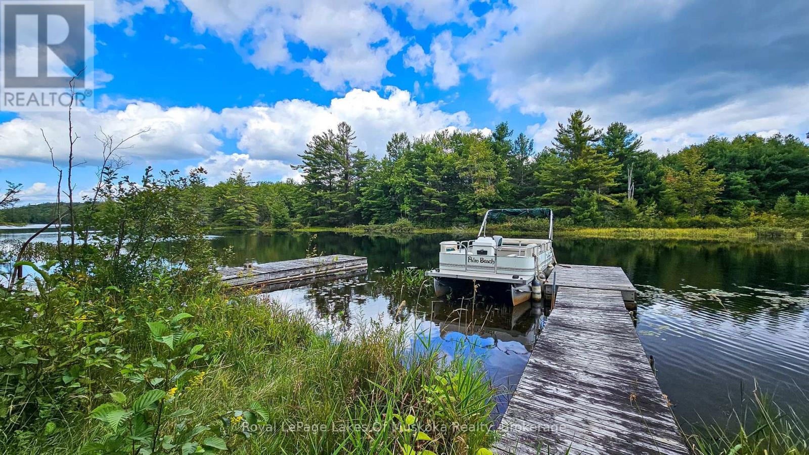 0 Muskoka River, Bracebridge, Ontario  P1L 0K3 - Photo 16 - X12405798