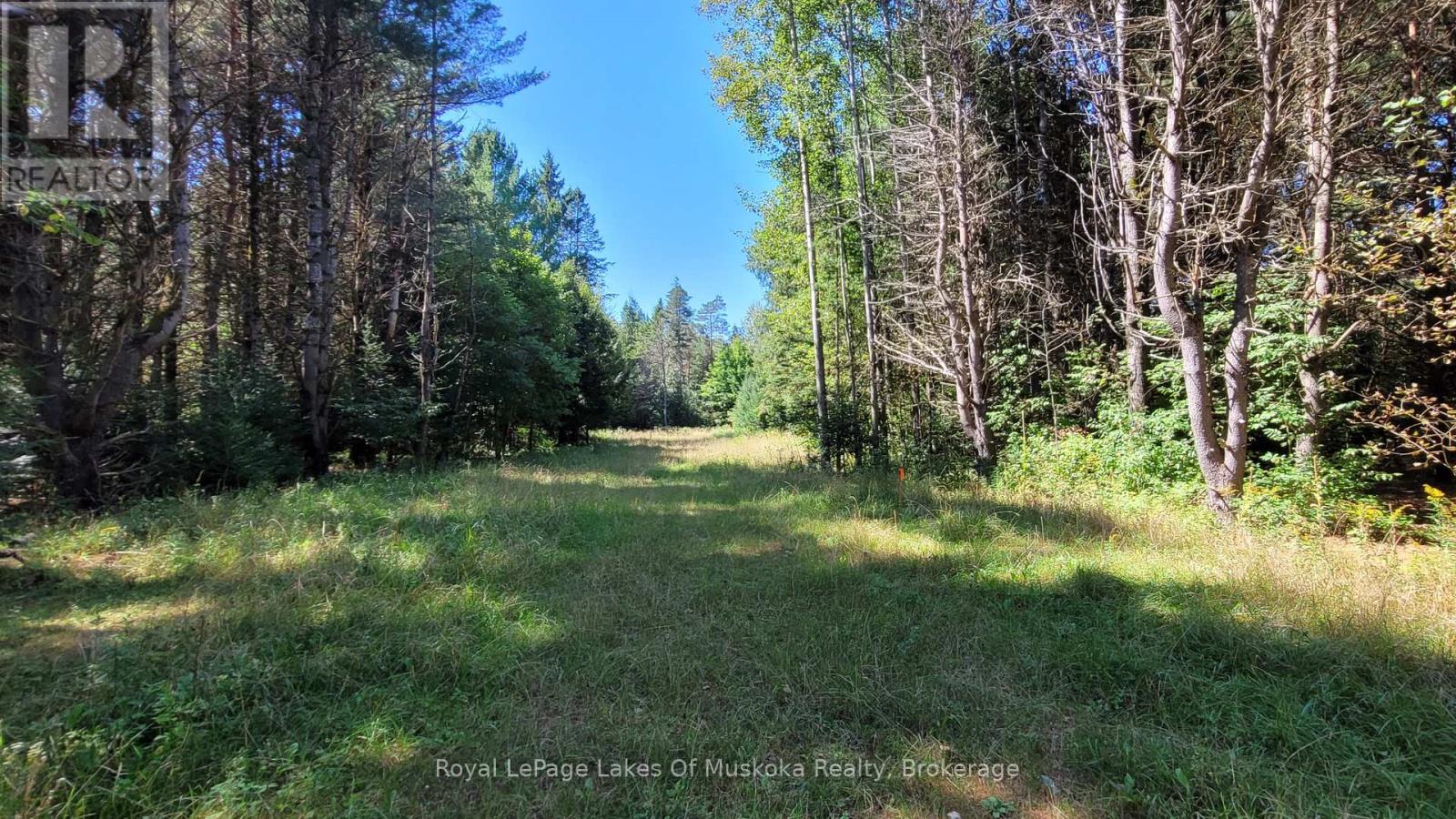 1059 Ablett Court, Algonquin Highlands, Ontario  K0M 1J0 - Photo 11 - X12405851