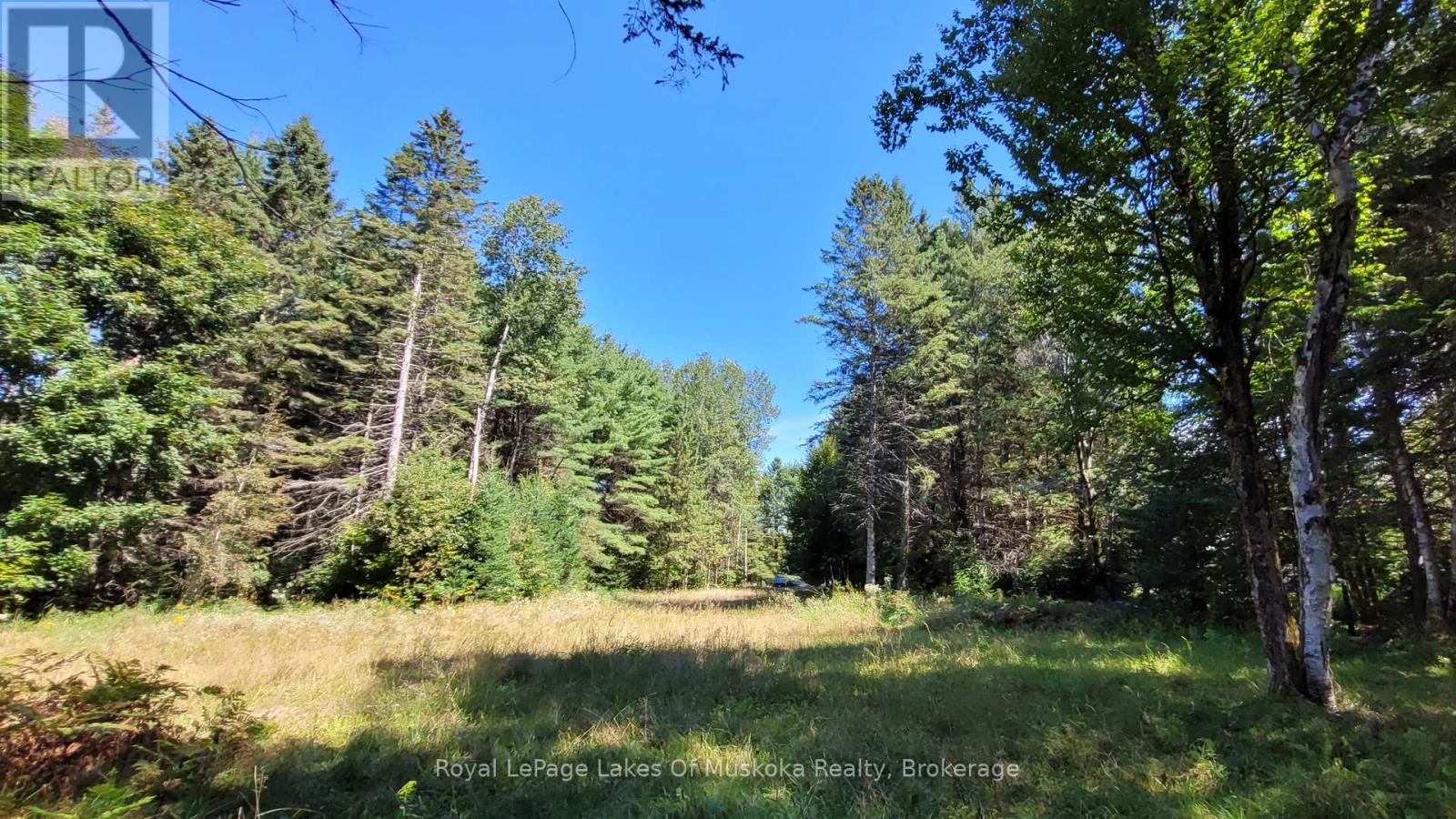 1059 Ablett Court, Algonquin Highlands, Ontario  K0M 1J0 - Photo 2 - X12405851
