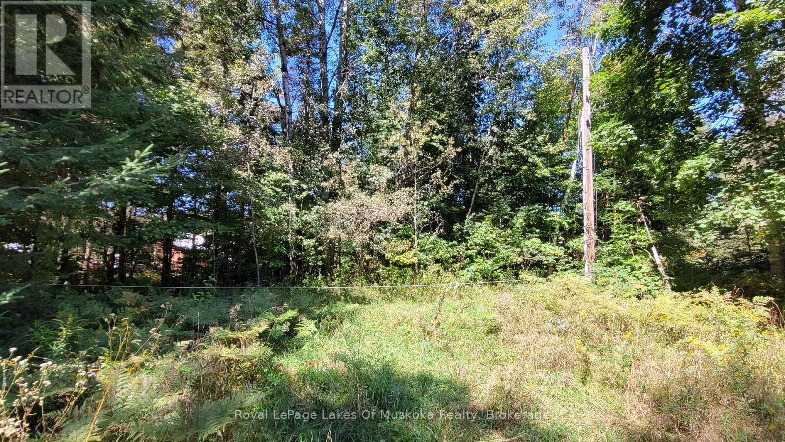 1059 Ablett Court, Algonquin Highlands, Ontario  K0M 1J0 - Photo 6 - X12405851