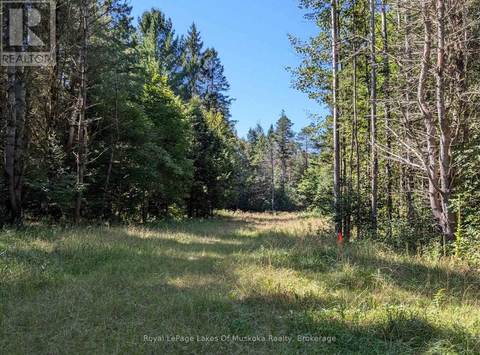1059 Ablett Court, Algonquin Highlands, Ontario  K0M 1J0 - Photo 9 - X12405851