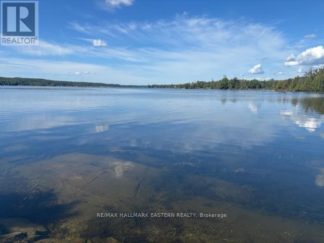 10 Fire Route 14b, Trent Lakes, Ontario  K0L 2H0 - Photo 12 - X12405880