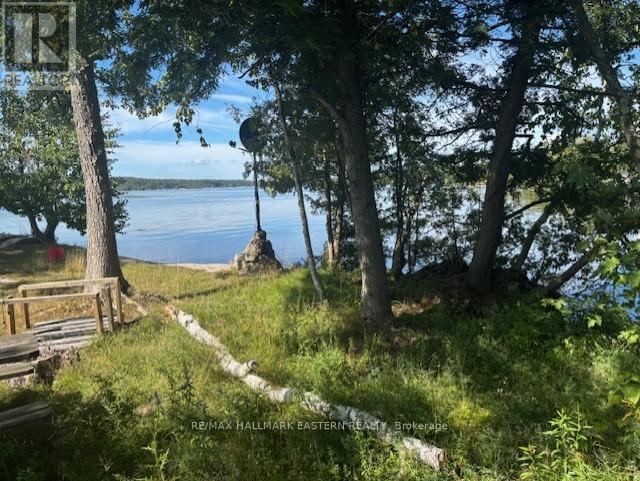 10 Fire Route 14b, Trent Lakes, Ontario  K0L 2H0 - Photo 3 - X12405880