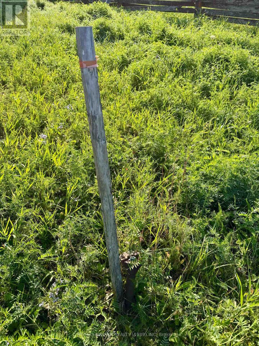 52 Brunelle Road S, Kapuskasing, Ontario  P5N 2T4 - Photo 7 - T12406119