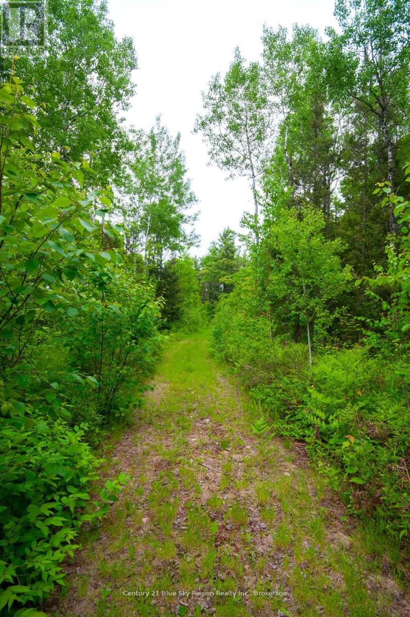 2647c Highway 17 E, East Ferris, Ontario  P0H 1K0 - Photo 5 - X12405999