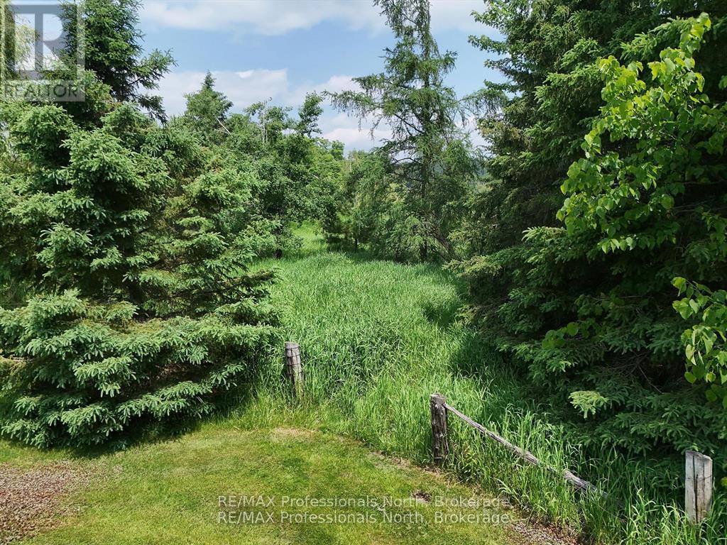 1287 Golden Beach Road, Bracebridge, Ontario  P1L 1C5 - Photo 43 - X12272935