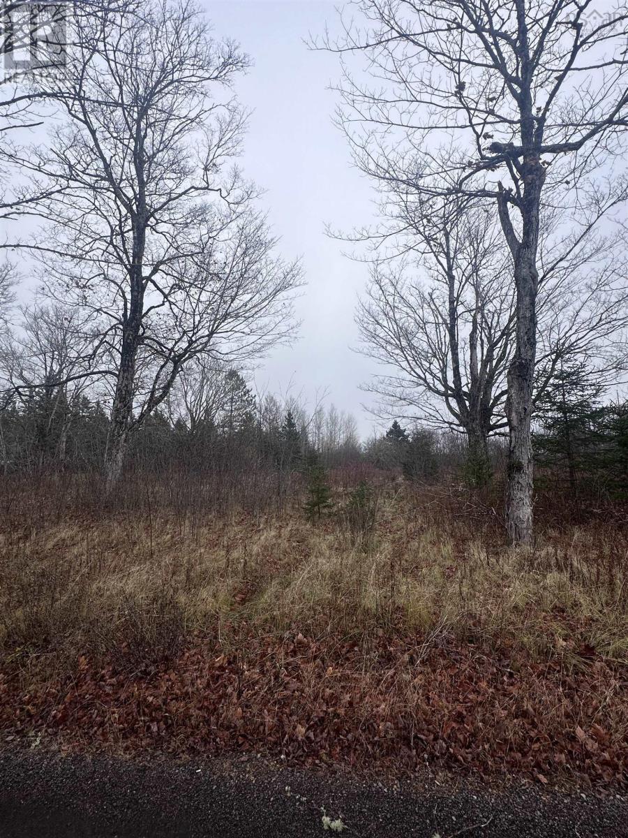 34 Spring Street, Londonderry, Nova Scotia  B0M 1L0 - Photo 7 - 202426836