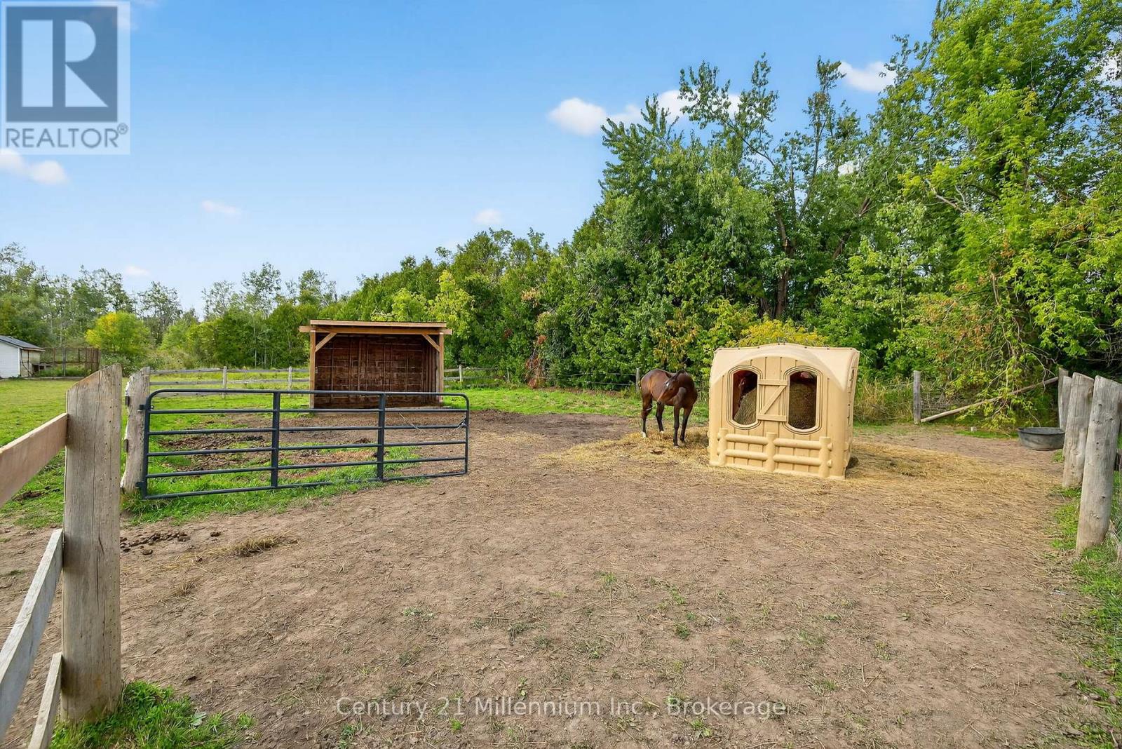 28650 Hwy 12, Brock, Ontario  L0K 1A0 - Photo 41 - N12406132