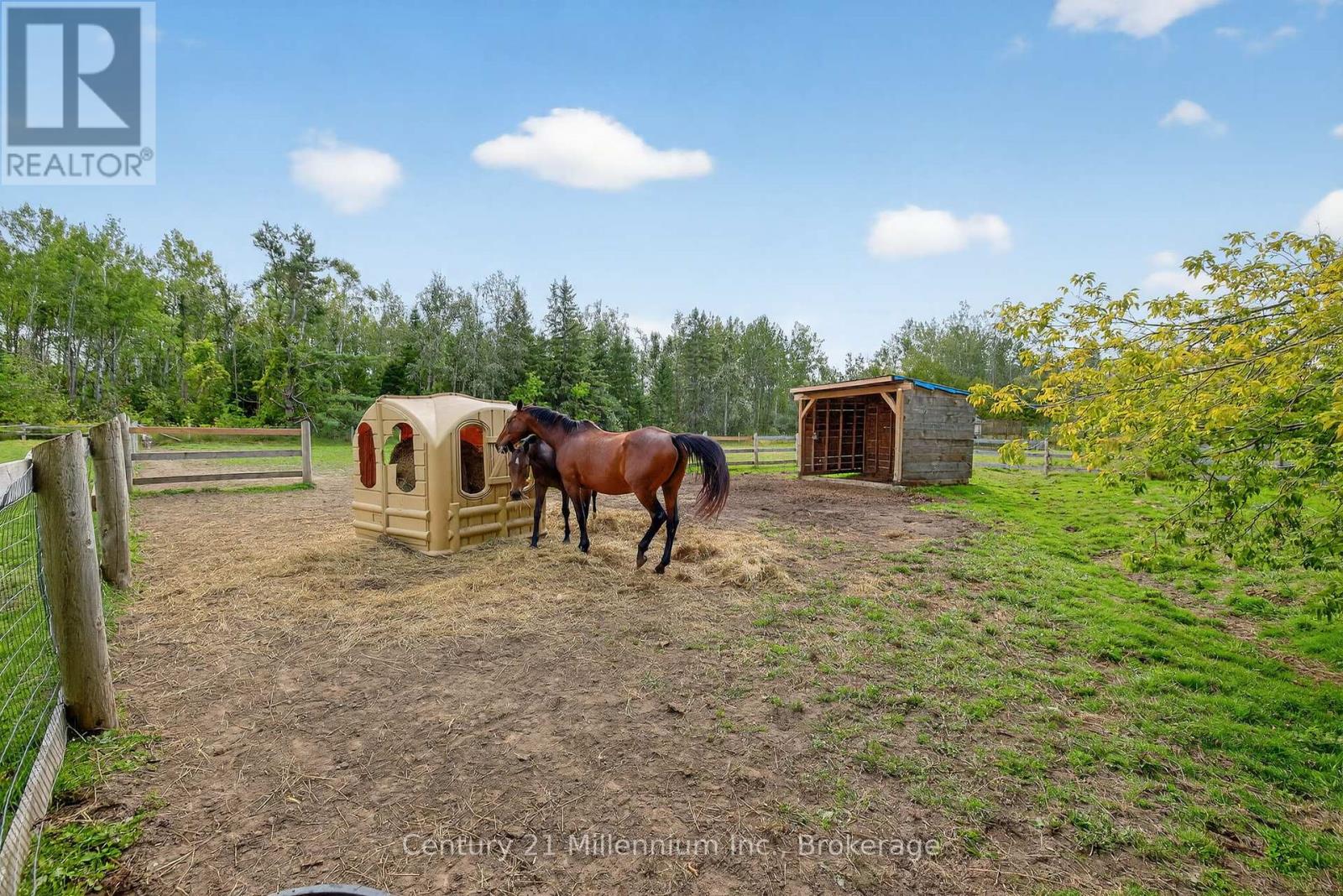 28650 Hwy 12, Brock, Ontario  L0K 1A0 - Photo 42 - N12406132