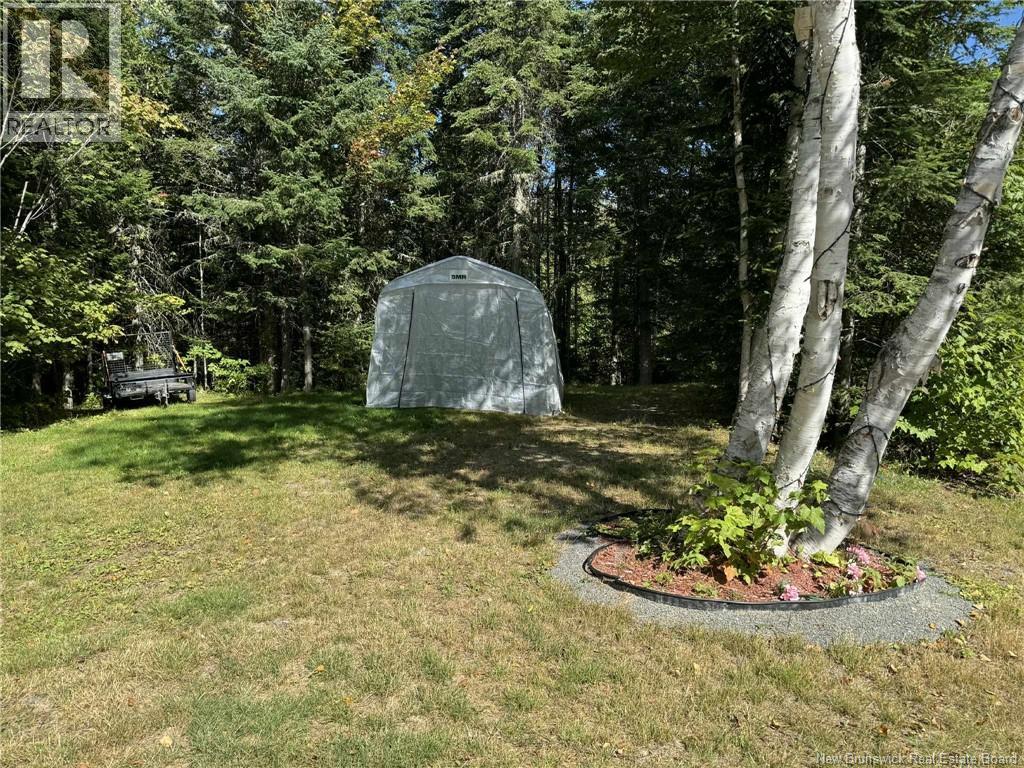84 Eva Road, Kedgwick, New Brunswick  E8B 2C1 - Photo 19 - NB097389