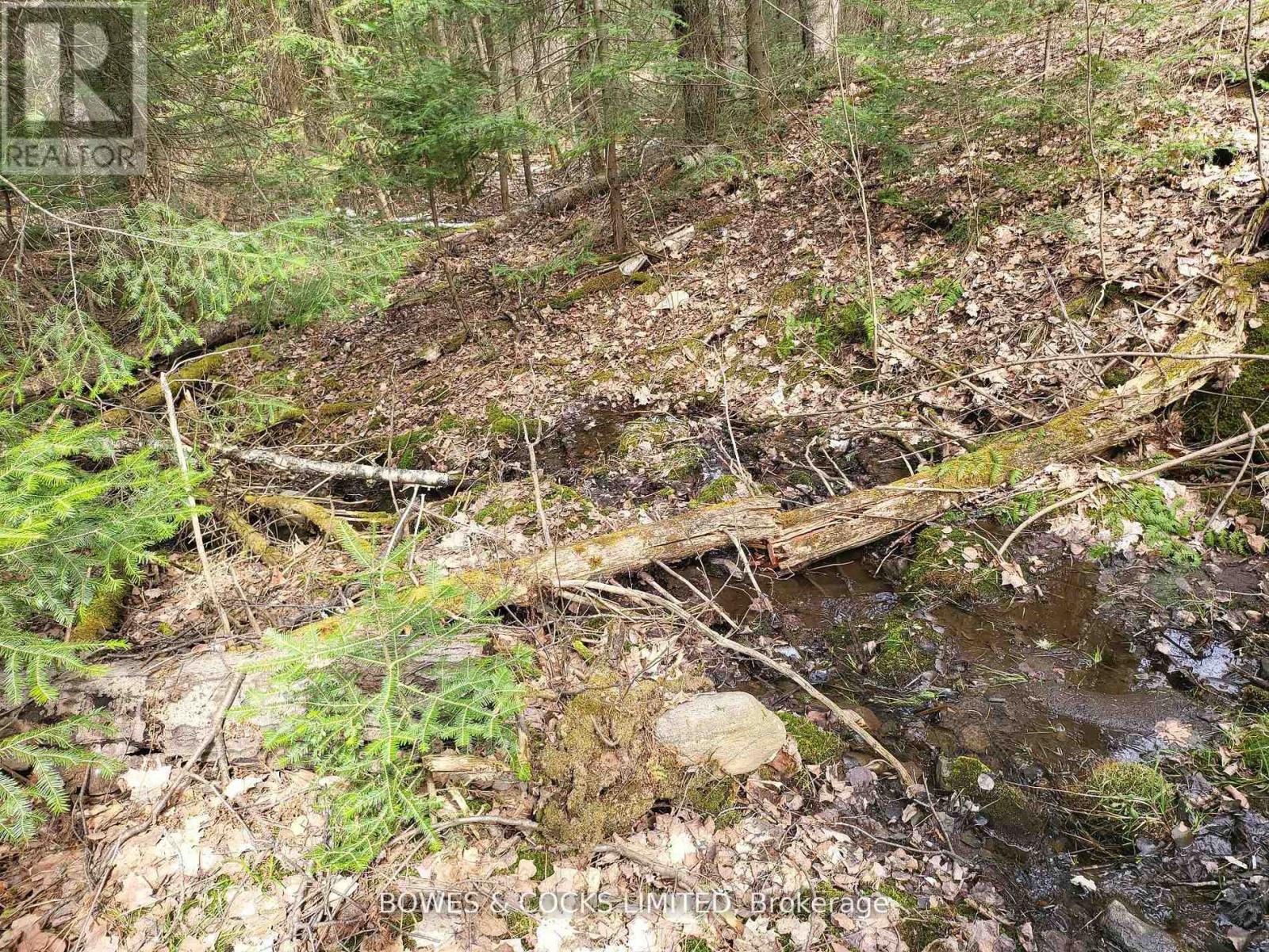 0 Highway 62 N, Hastings Highlands, Ontario K0L 2S0 - Photo 3 - X12406227