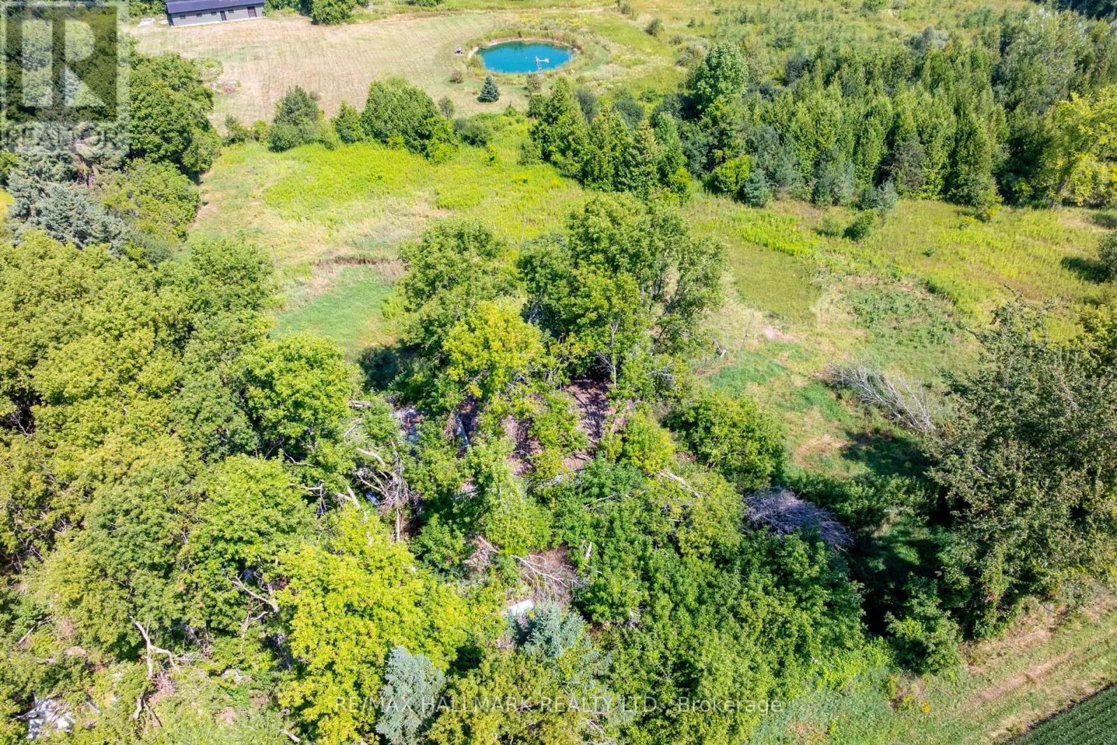 23895 Mccowan Road, Georgina, Ontario  L0E 1R0 - Photo 13 - N12406045