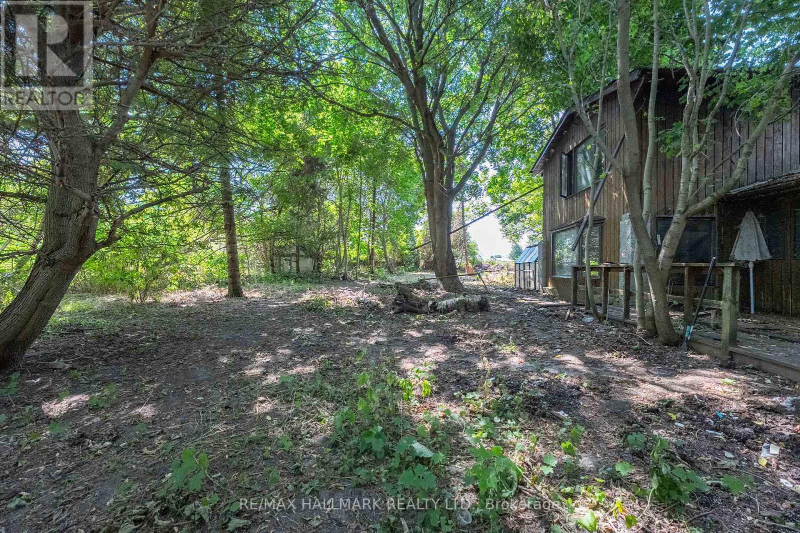 23895 Mccowan Road, Georgina, Ontario  L0E 1R0 - Photo 19 - N12406045