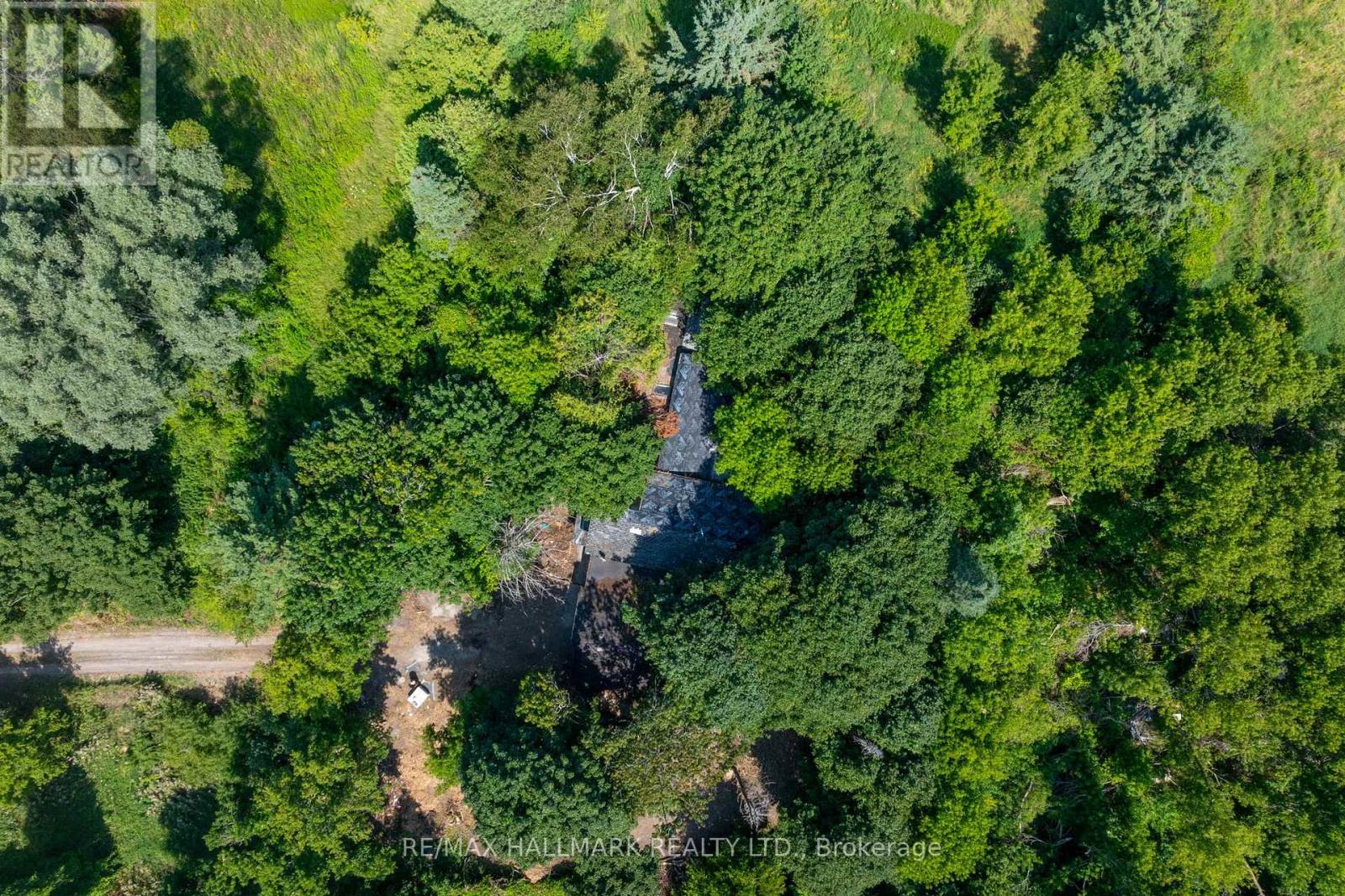 23895 Mccowan Road, Georgina, Ontario  L0E 1R0 - Photo 6 - N12406045