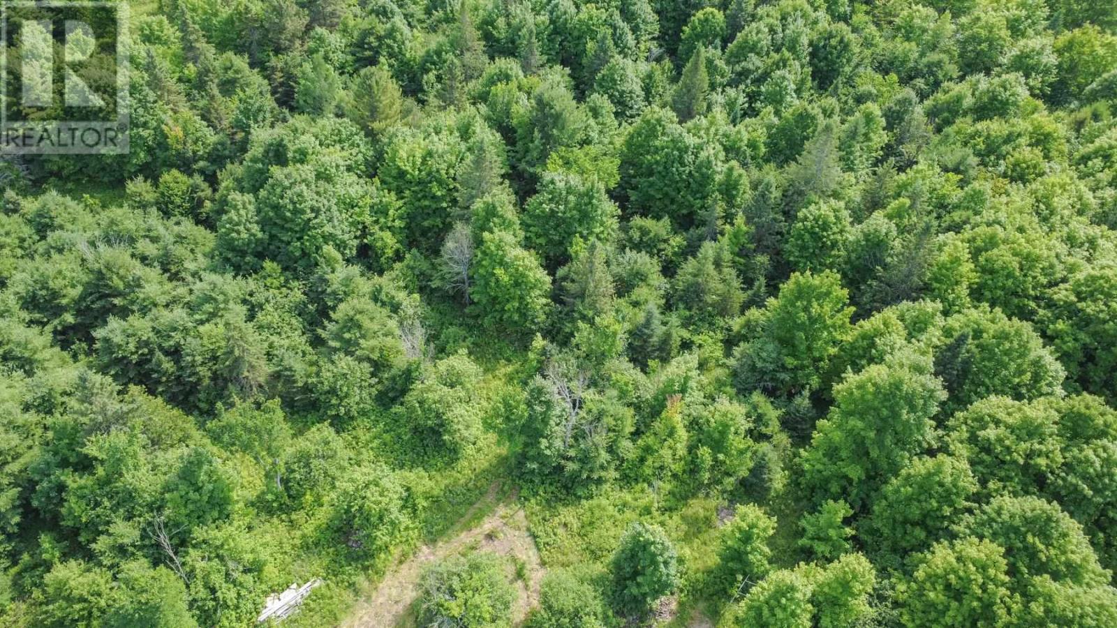 2331 D Line Rd, Richards Landing, Ontario  P0R 1J0 - Photo 16 - SM252040