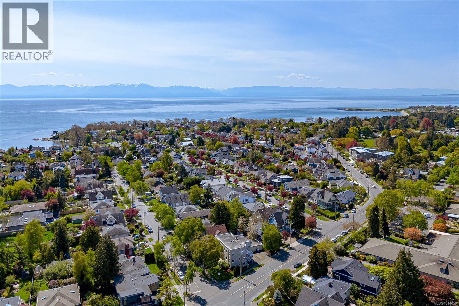 370 Richmond Ave, Victoria, British Columbia  V8S 3Y1 - Photo 12 - 1014058