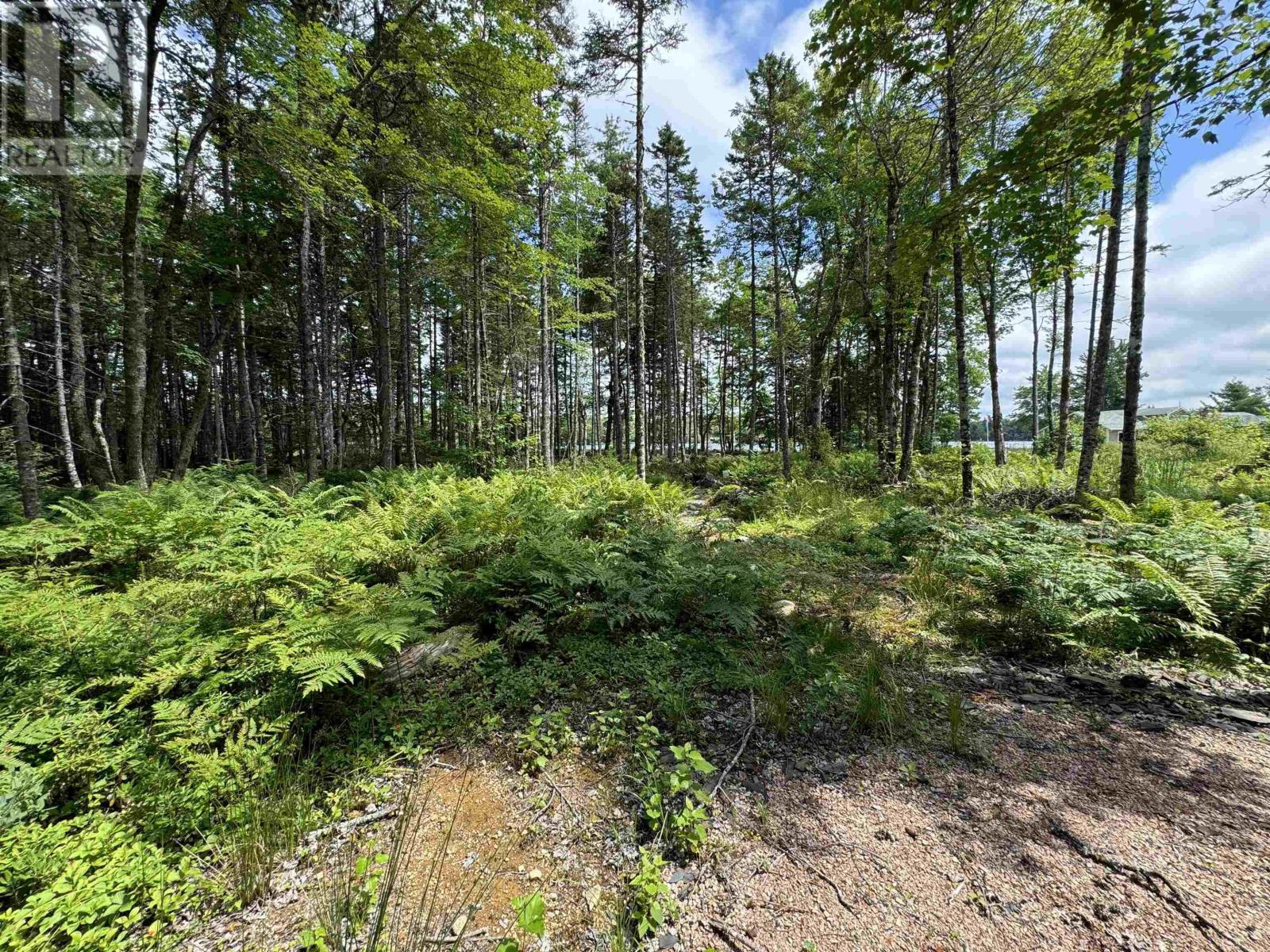 7 Lot Package East Lake Road, New Albany, Nova Scotia  B0S 1P0 - Photo 11 - 202523427
