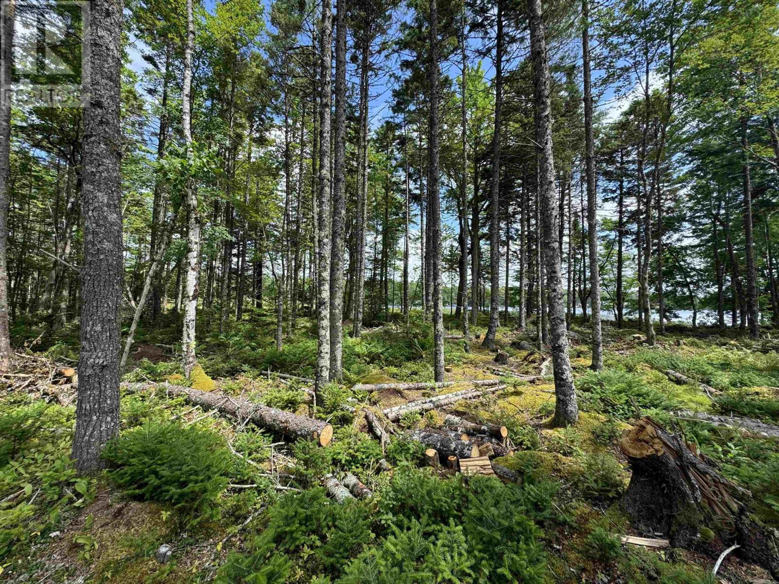 7 Lot Package East Lake Road, New Albany, Nova Scotia  B0S 1P0 - Photo 12 - 202523427