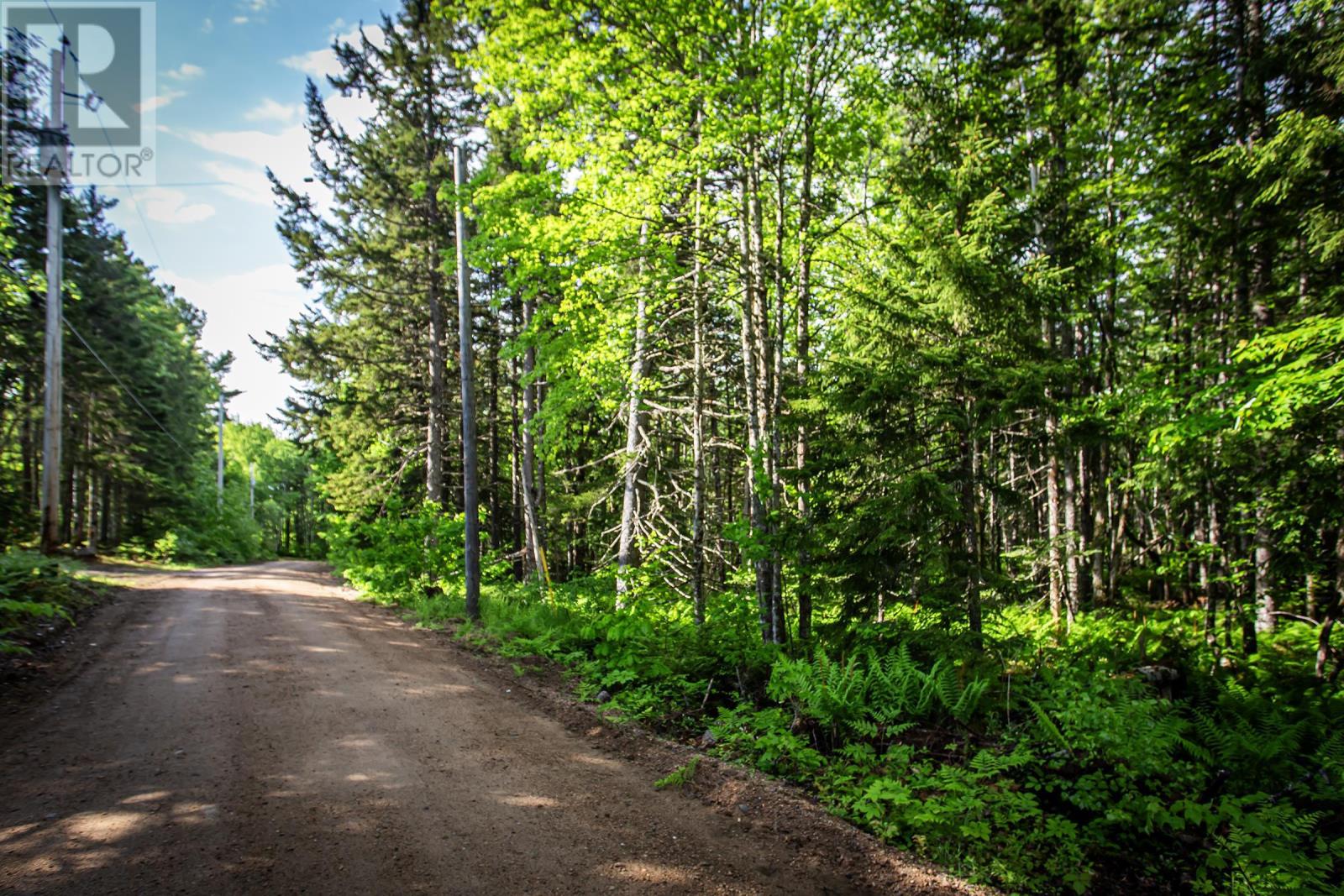 7 Lot Package East Lake Road, New Albany, Nova Scotia  B0S 1P0 - Photo 8 - 202523427