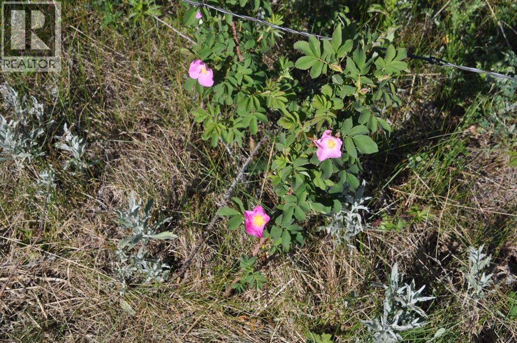 - -, Millarville, Alberta  T1S 2V7 - Photo 6 - A2256948