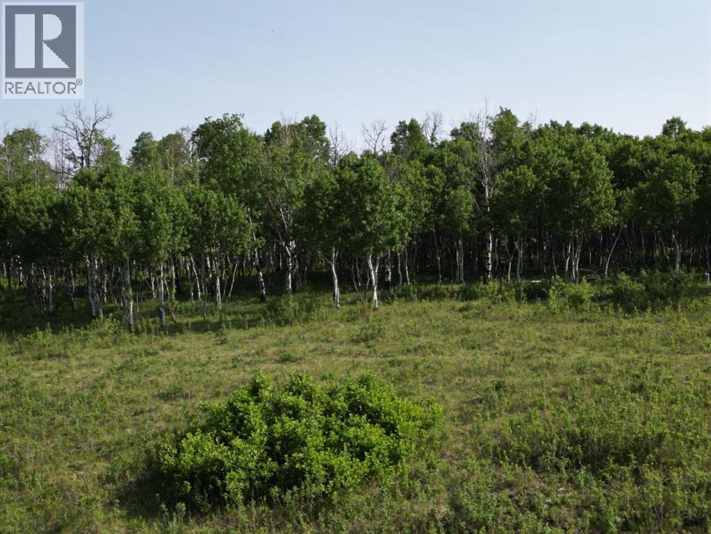 - -, Millarville, Alberta  T1S 2V7 - Photo 8 - A2256948