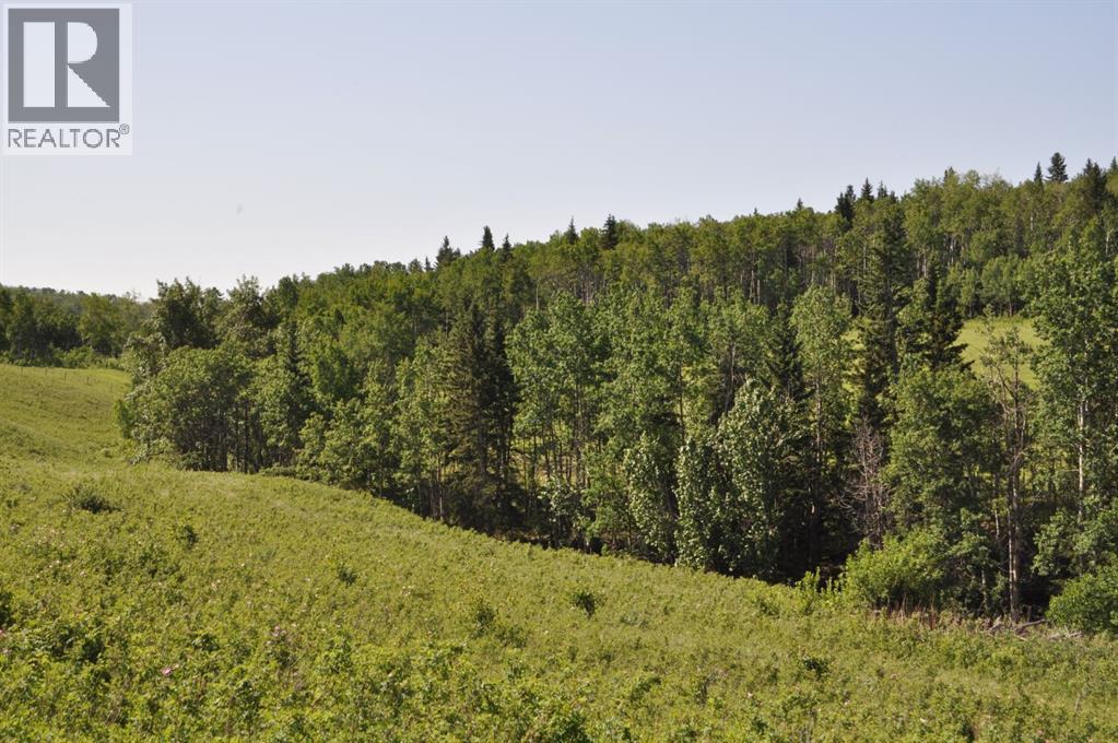 - -, Millarville, Alberta  T1S 2V7 - Photo 5 - A2256948
