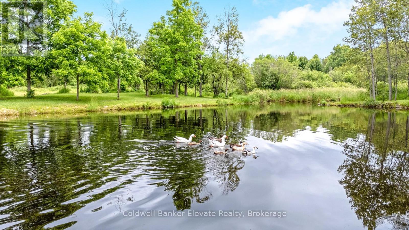 11425 Second Line Nassagaweya, Milton, Ontario  L0P 1B0 - Photo 45 - W12406224