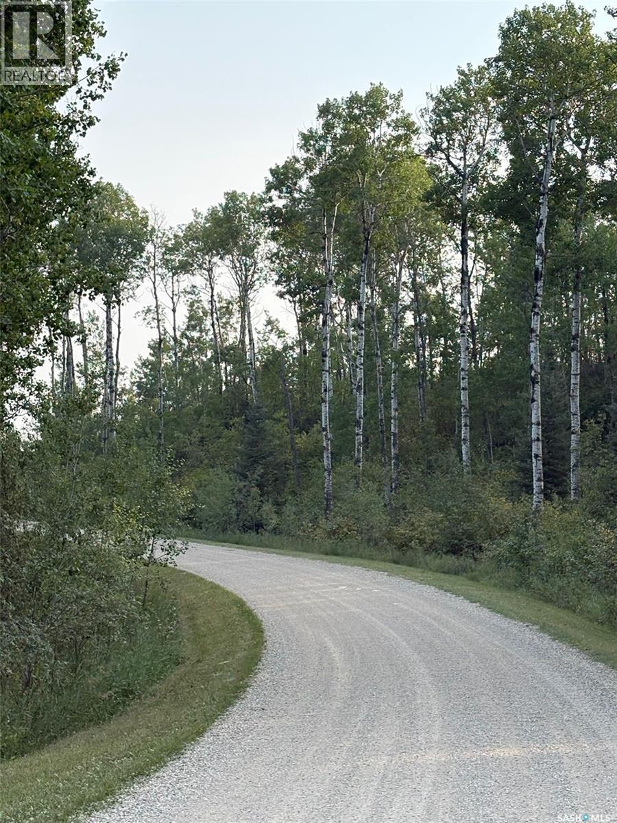 Lot 6, Block 1 Aspen Ridge, Spiritwood Rm No. 496, Saskatchewan  S0J 2M0 - Photo 4 - SK018452