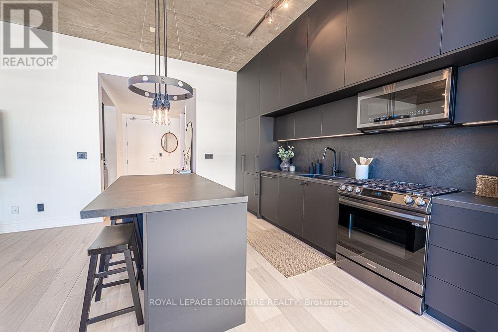 705 - 60 Bathurst Street, Toronto (Niagara), Ontario  M5V 2P4 - Photo 10 - C12406422