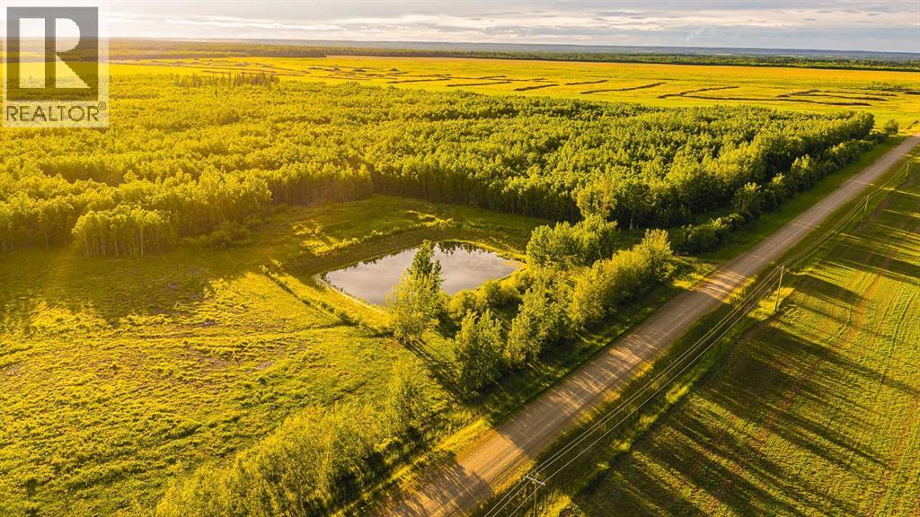 78248 Range Road 85, Rural Saddle Hills County, Alberta  T0H 3V0 - Photo 46 - A2242973