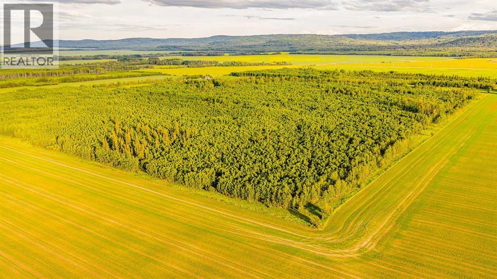 78248 Range Road 85, Rural Saddle Hills County, Alberta  T0H 3V0 - Photo 49 - A2242973