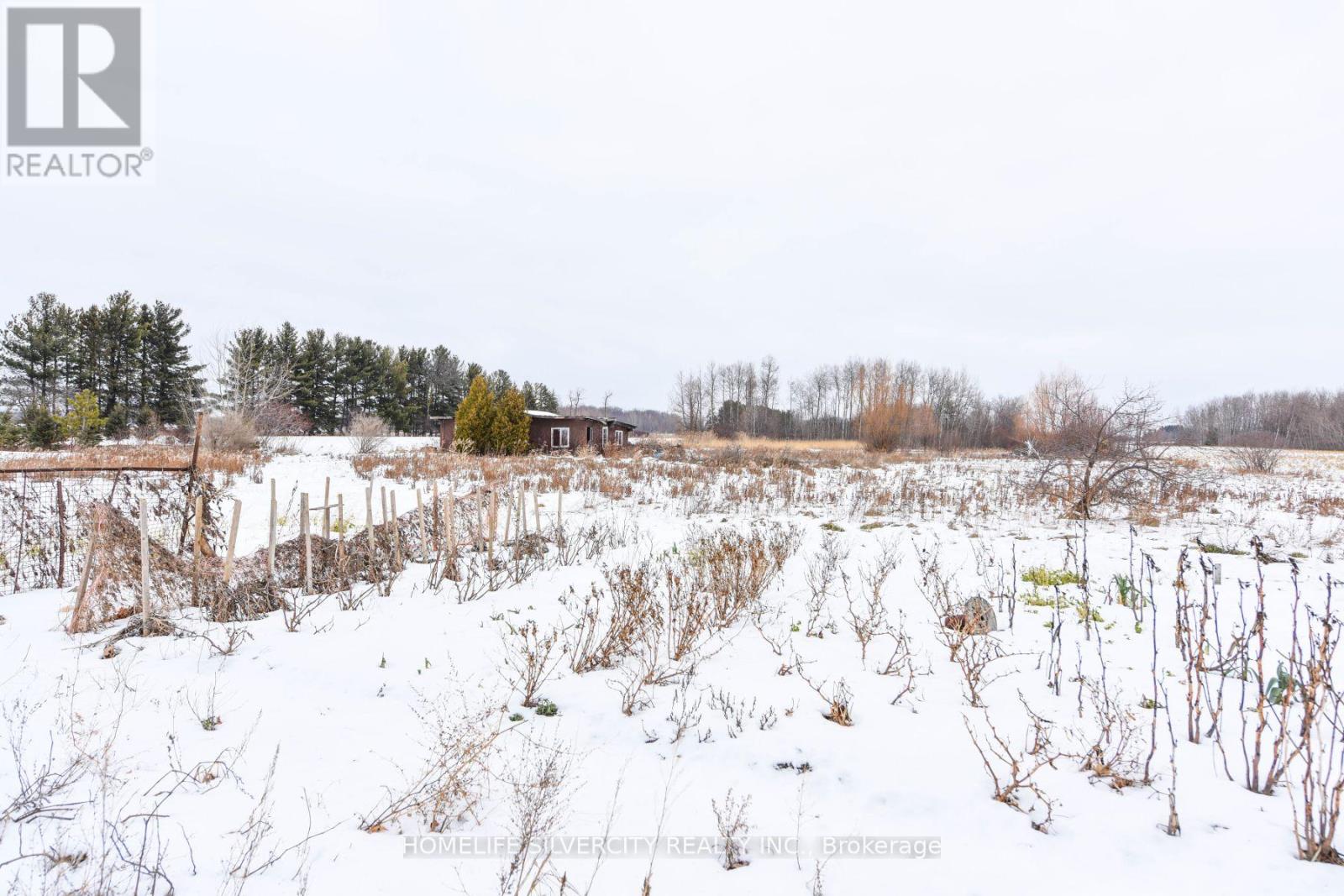 14707 Dixie Road, Caledon, Ontario  L7C 2M9 - Photo 44 - W12406362
