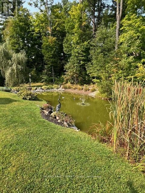 301 Rankin Lake Road, Seguin, Ontario  P2A 0B7 - Photo 34 - X12406753