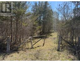580 Love Road, Loyalist (Lennox And Addington - South), Ca
