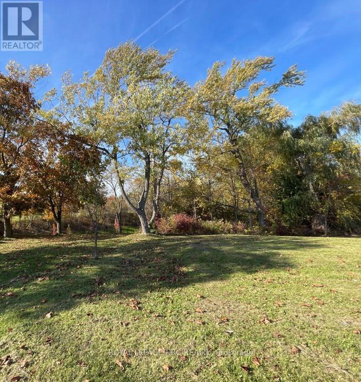 195 Hwy 20 Highway E, Pelham, Ontario  L0S 1E6 - Photo 5 - X12406956
