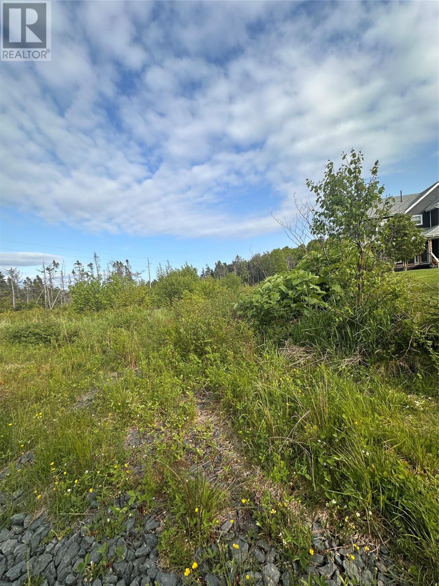 51 A Kimberley Farm Road, Winterland, Newfoundland & Labrador  A0E 2Y0 - Photo 2 - 1286505