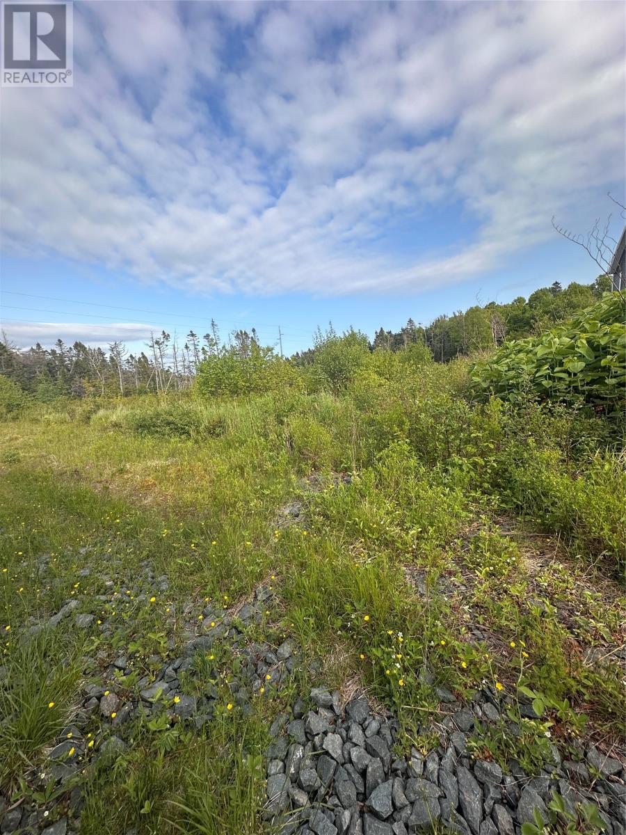 51 A Kimberley Farm Road, Winterland, Newfoundland & Labrador  A0E 2Y0 - Photo 3 - 1286505